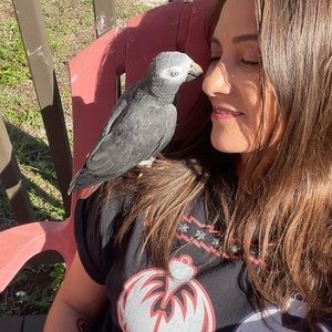 Meet your Posher, Celes